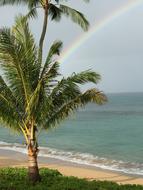 Hawaii Maui