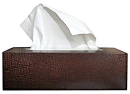 Handkerchief Cold Cry