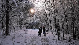 Hiking Children Forest