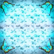 scrapbooking paper blue butterfly drawing