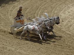 man rides in a chariot with horses