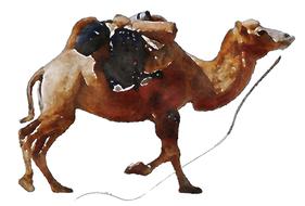 watercolor clipart of camel animal