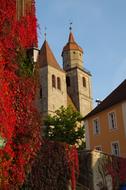 red plants on the building