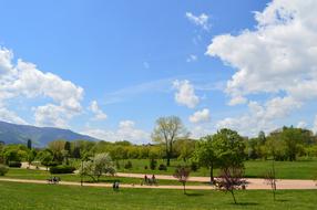 park meadow in spring