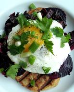 breakfast vegetable salad