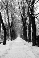 Promo Winter Road