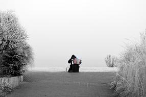 Frost Winter Cold Accordion