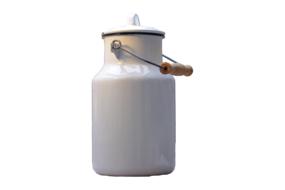 milk can white isolated