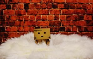 Danbo Fur Cute
