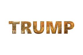 trump president usa donald
