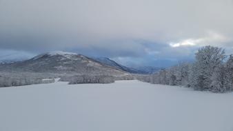 Winter Landscapes Landscape