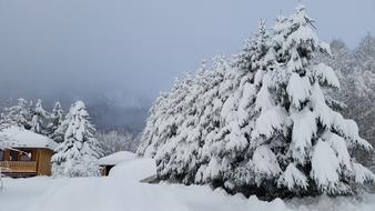 Winter Landscapes Landscape