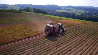 Aerial View of Agriculture Potatoes field