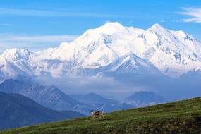 Caribou Mountain Snow