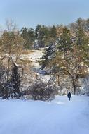 girl walks in a snowy forest