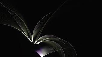 fractal palm leaf pattern drawing