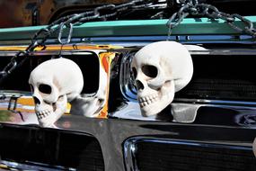 Skulls Halloween Trunk Or Treat
