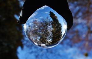 glass ball in hand with a view of the forest