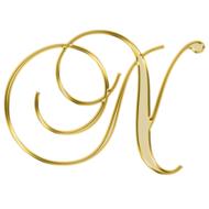 Beautiful golden and shiny, decorated "N" letter at white background