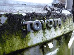 old toyota with moss on it