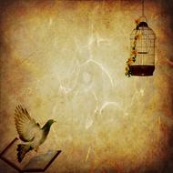 background, scrapbooking paper, bird and cage drawing