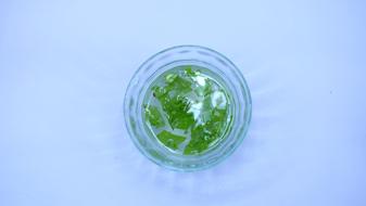 Aloe Vera Herbal