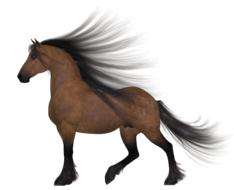 brown horse with a mane in the wind as a drawing
