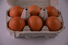 nutritious eggs in a box