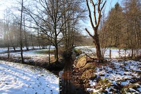 Snow Winter Landscape