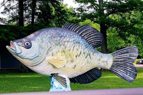 Reelfoot Lake Fish