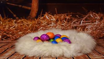 colored easter eggs in the nest