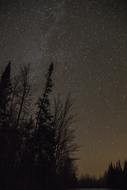 Night Stars Trees