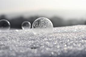 Soap Bubbles Frozen Frost