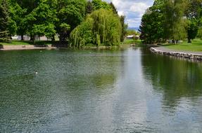 Pond in park at summer day