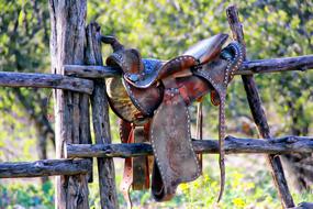 Weathered Saddle Dude Ranch
