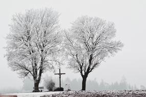 iron cross near the winter trees