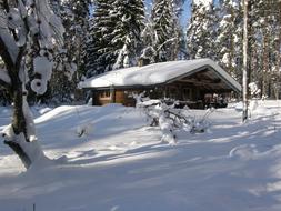 Winter landscape, wooden House covered with Snow at forest