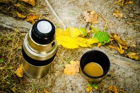 Thermos and fallen leaves on ground, Autumn