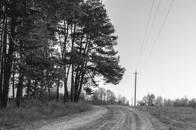 Road Loneliness Bankrupt