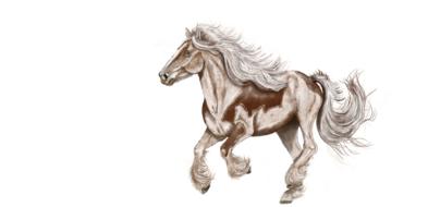 Fluffy running horse drawing