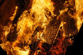 Fire Campfire
