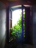 open window overlooking the trees
