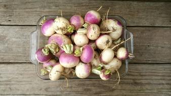 healthy colored vegetables