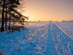 Winter Snow Wintry