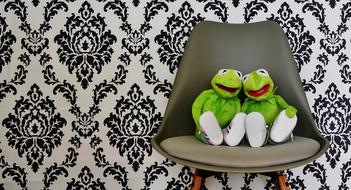 Kermit Funny frogs on chair