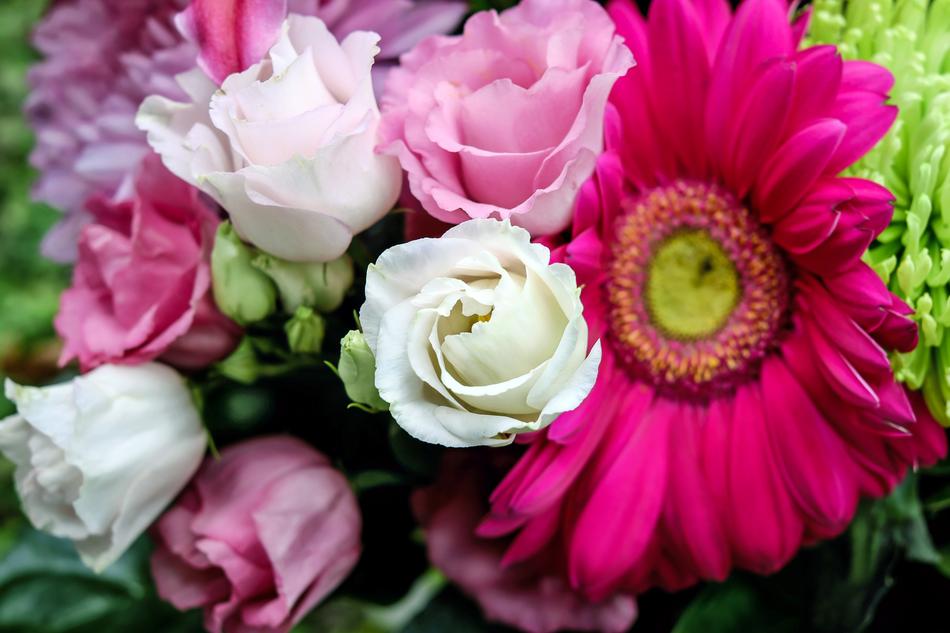 Lisianthus Flower Bloom