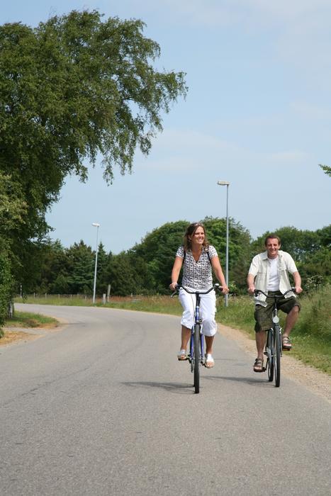 Couple Cyclists Summer