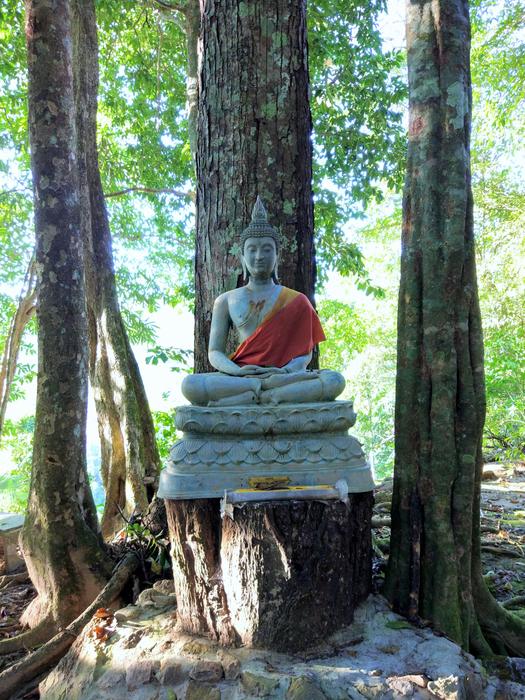 Buddha Tree Temple