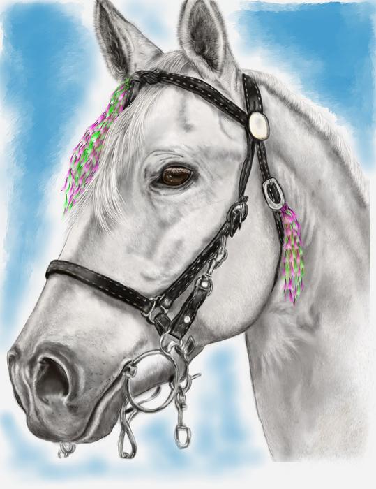 drawing of a white horse in a bridle