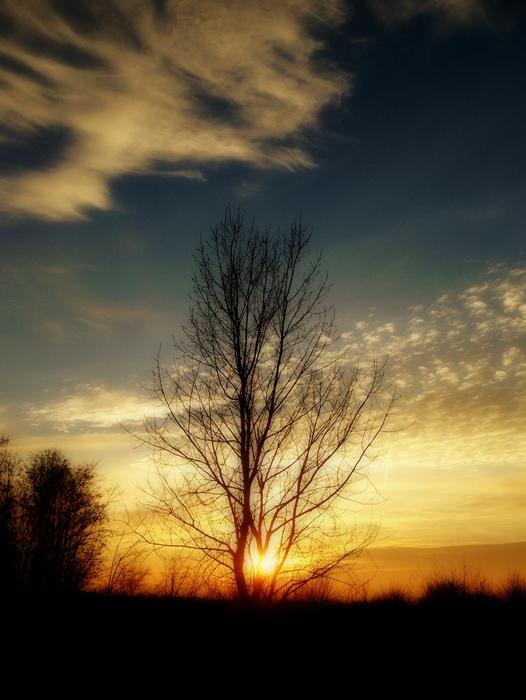 Sky West Landscape